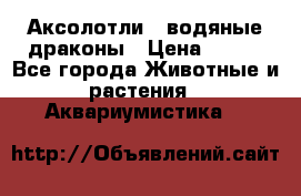Аксолотли / водяные драконы › Цена ­ 500 - Все города Животные и растения » Аквариумистика   